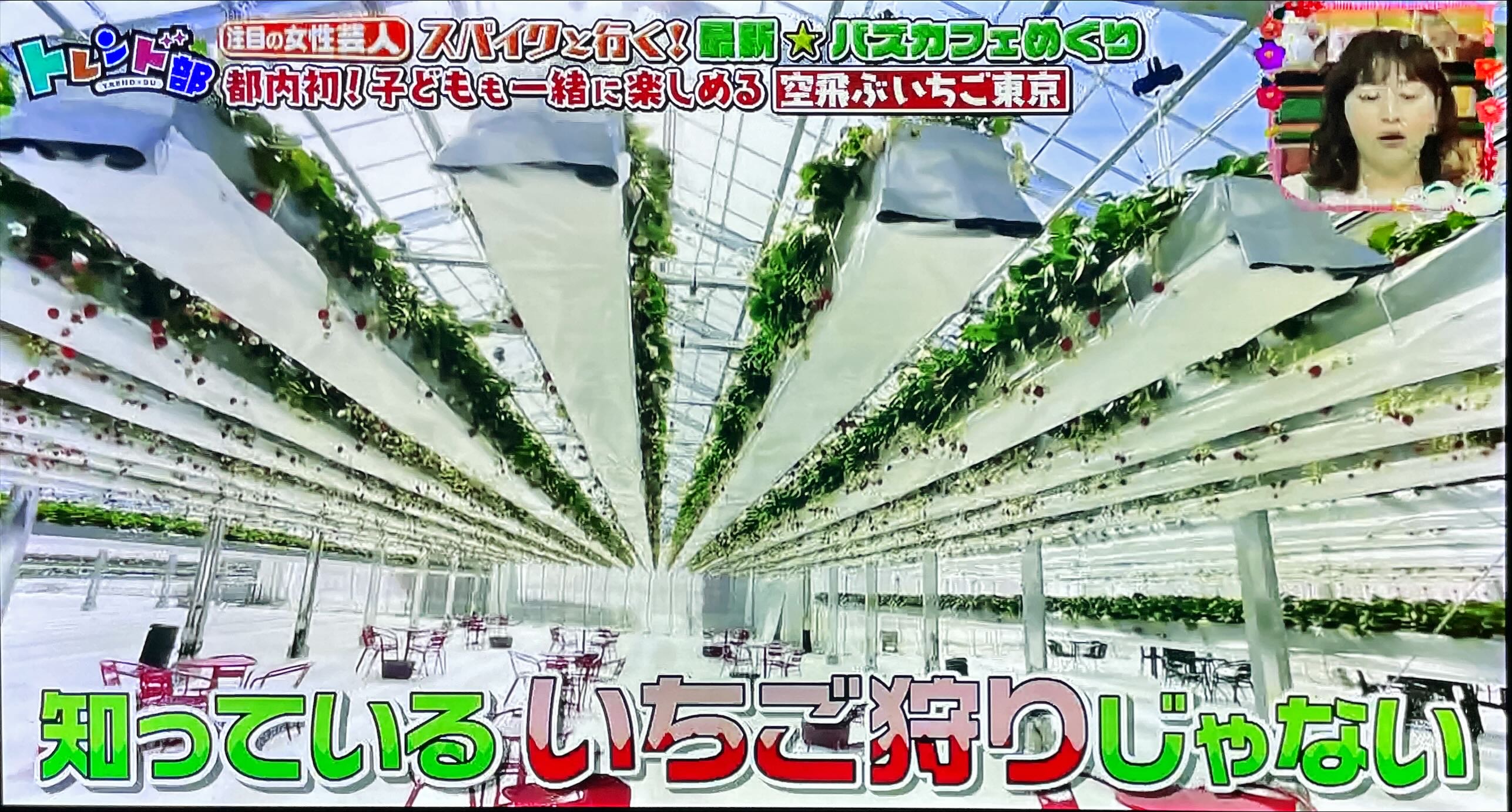 王様のブランチ