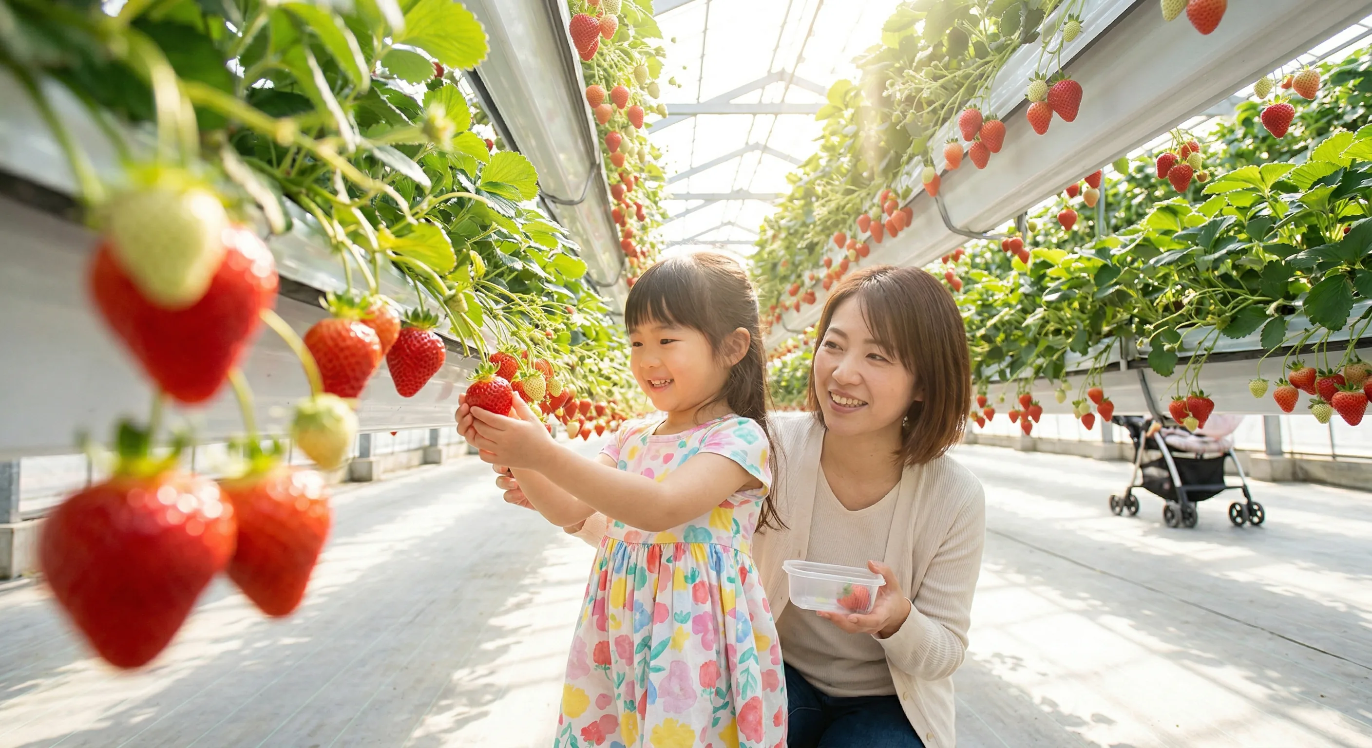 春休みのいちご狩りはいつ行く？3月後半〜4月前半に府中いちご狩り園がおすすめな理由