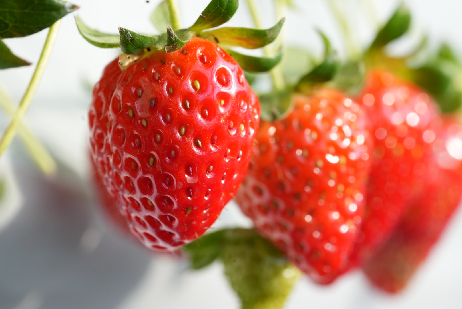 ภายในบ้านสตรอว์เบอร์รี่